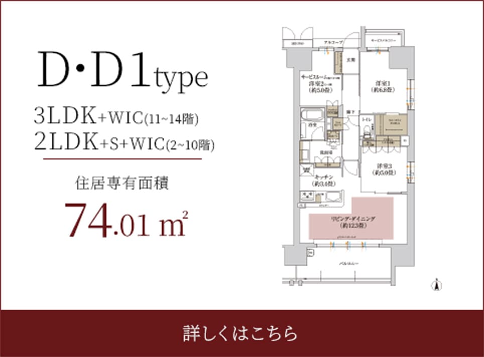 D・D1type