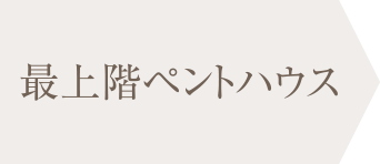 最上階ペントハウス