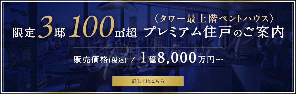 プレミアムプラン