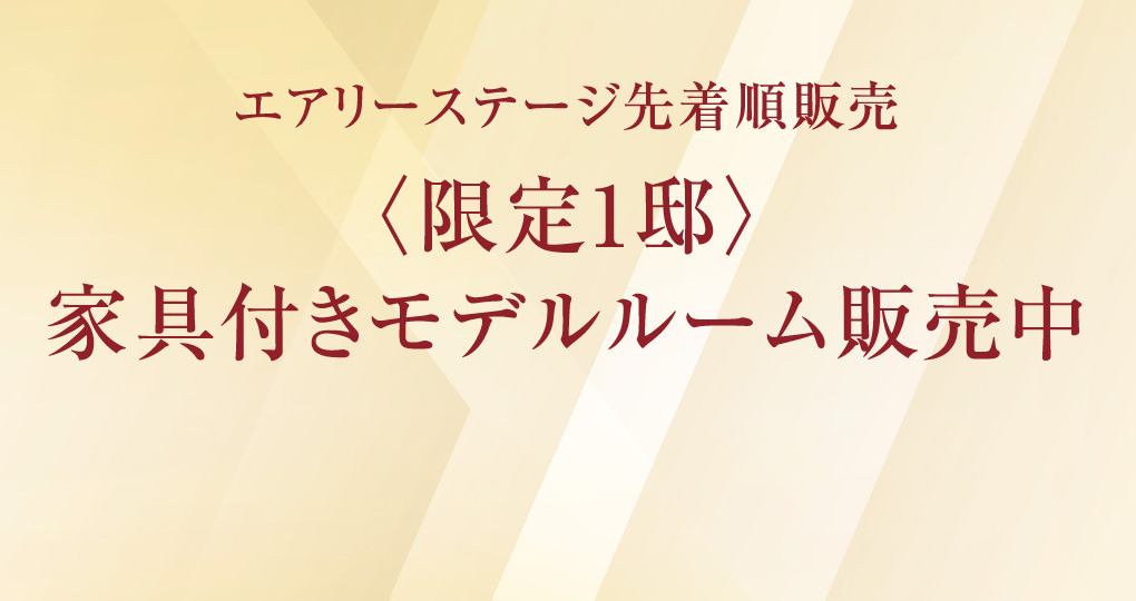 〈限定1邸〉家具付きモデルルーム販売中