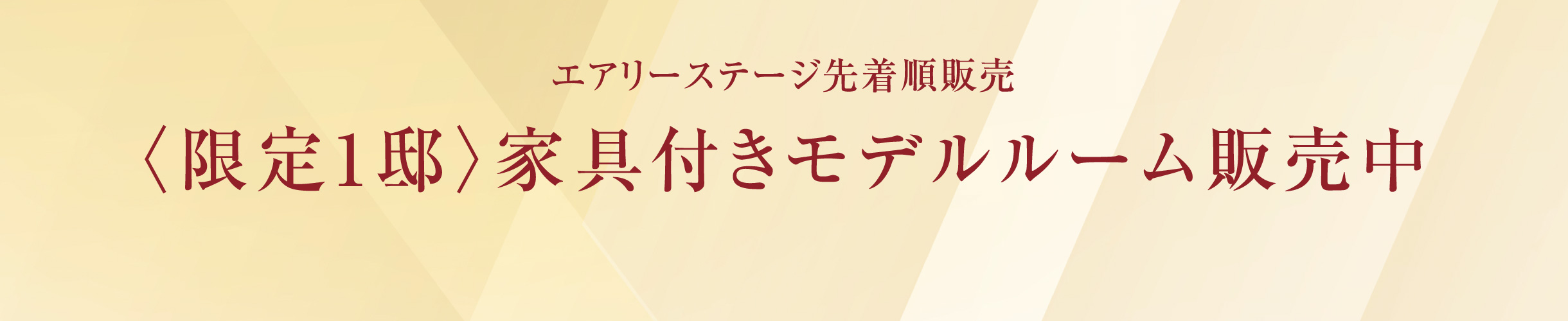 〈限定1邸〉家具付きモデルルーム販売中