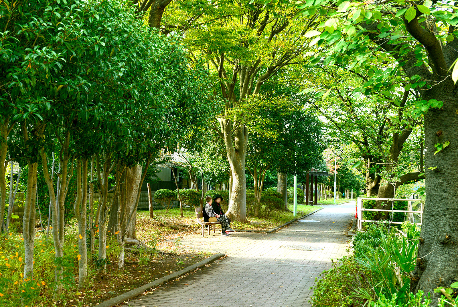 今井上町緑道
