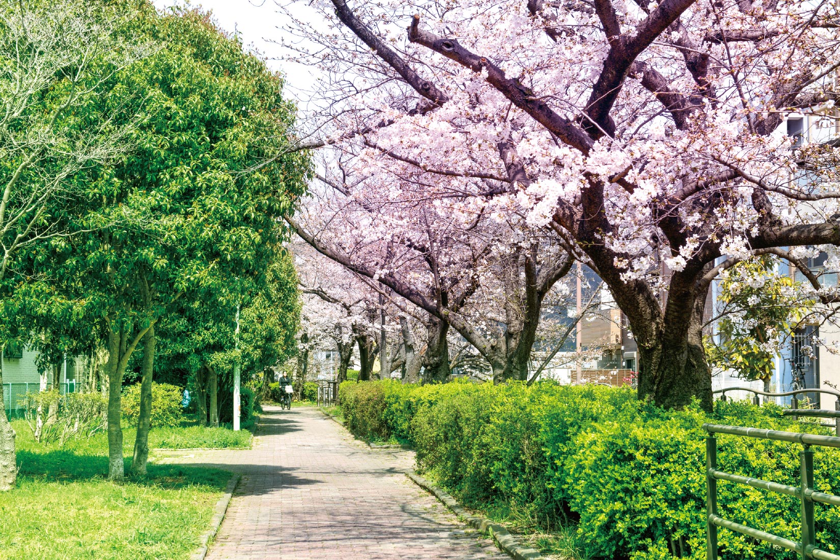 今井上町緑道