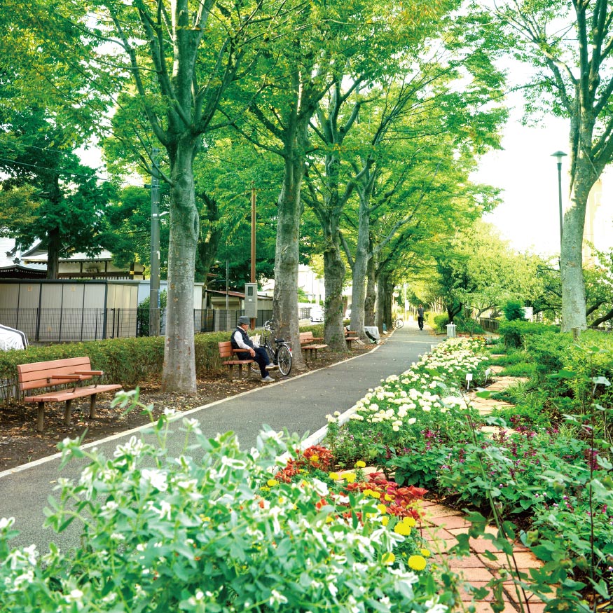今井上町緑道
