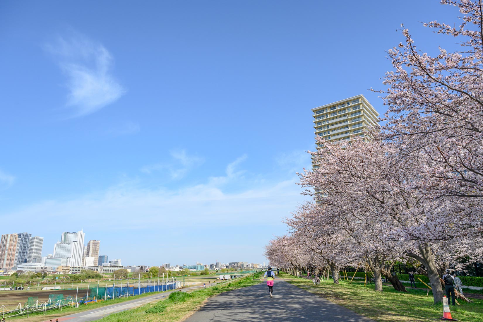 多摩川緑地