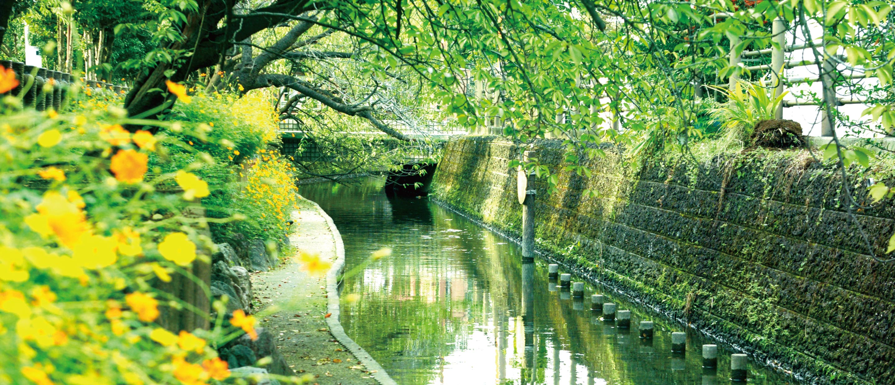 二ヶ領用水