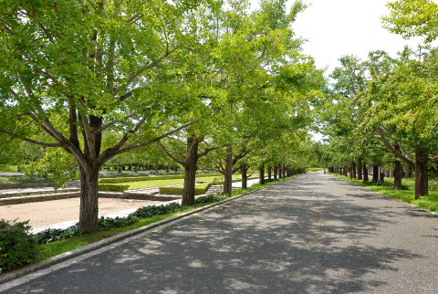国営昭和記念公園　約4.2km