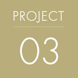 PROJECT 03