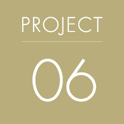 PROJECT 06