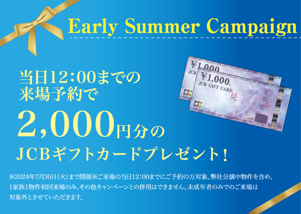 Early Summer Campaign