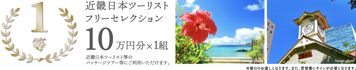 1等 近畿日本ツーリストフリーセレクション 10万円分×1組 近畿日本ツーリスト等のパッケージツアー等にご利用いただけます。