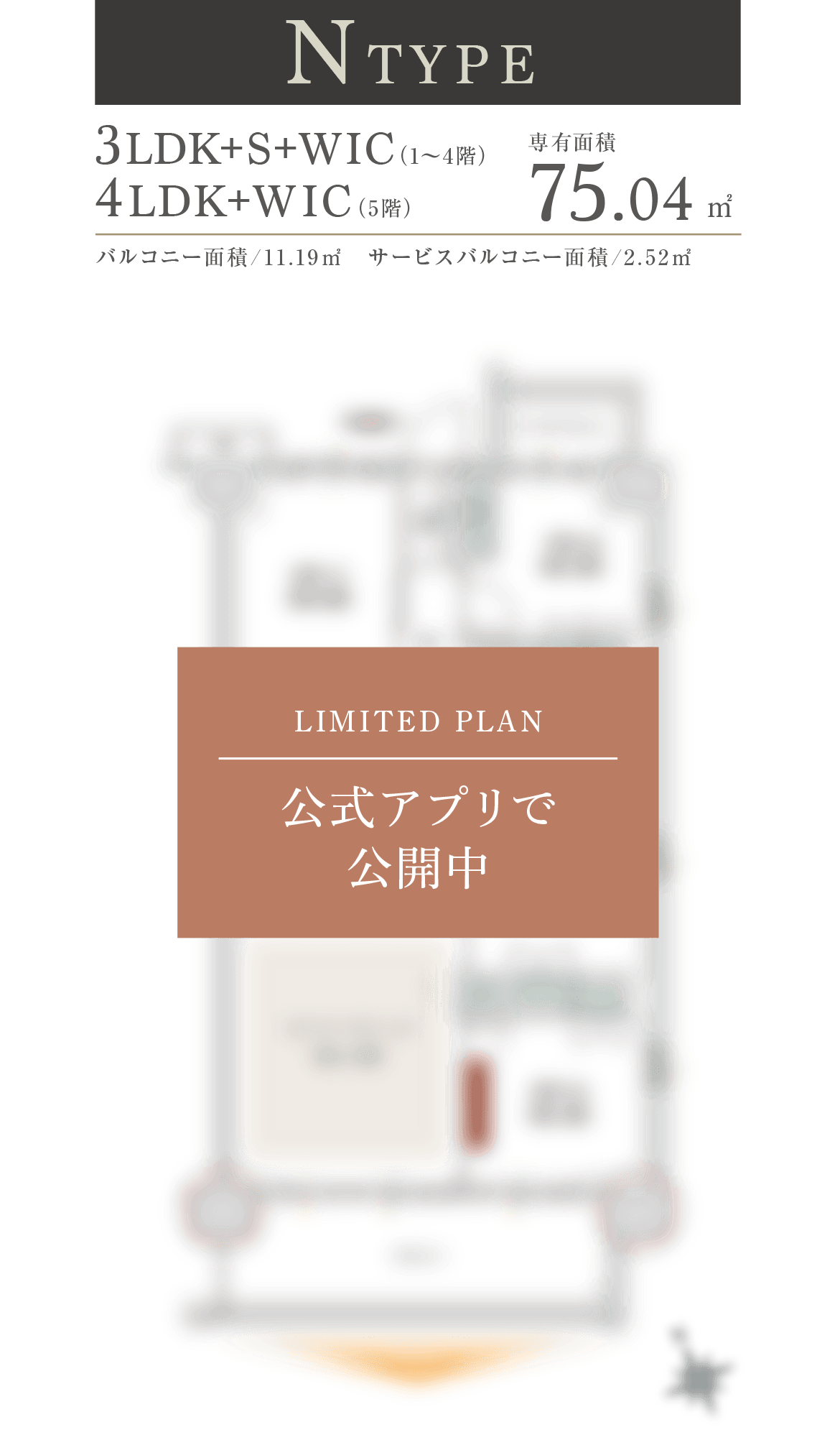 Ntype