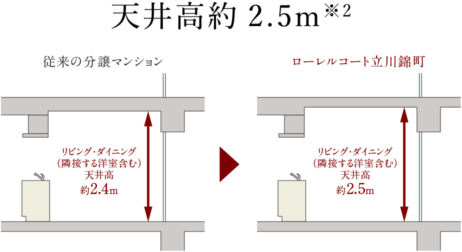 天井高約2.5m
