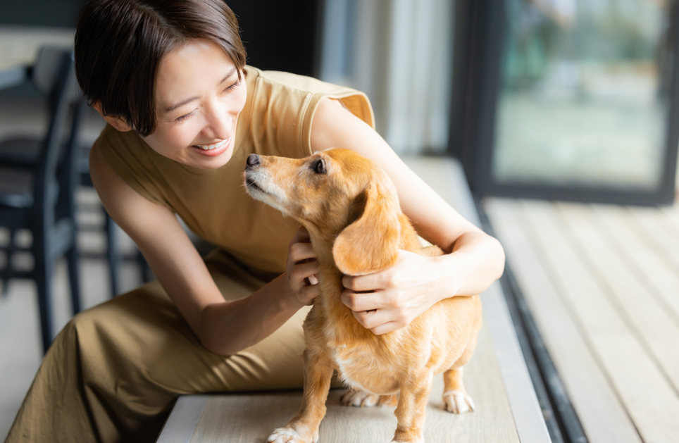 ペットと暮らす家とは?実現するための基本の考え方