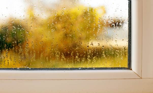 カビが生えやすい窓サッシや風呂場の対策方法